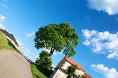 Il passe dans le ciel et nous retourne la tête_4653426168_l.jpg